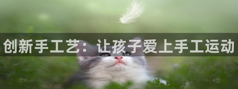 极悦平台注册官网入口：创新手工艺：让孩子爱上手工运动