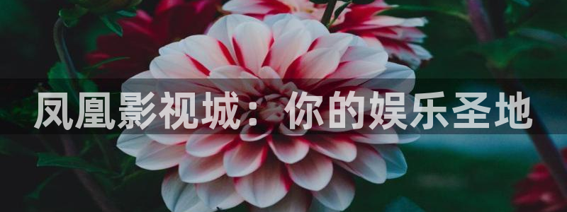 天龙影院在线免费：凤凰影视城：你的娱乐圣地