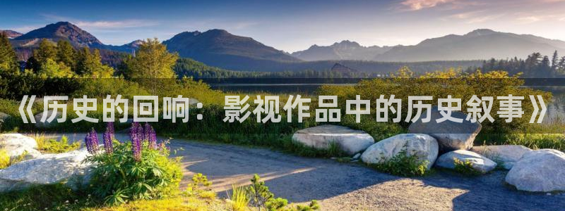 天龙旗舰：《历史的回响：影视作品中的历史叙事》