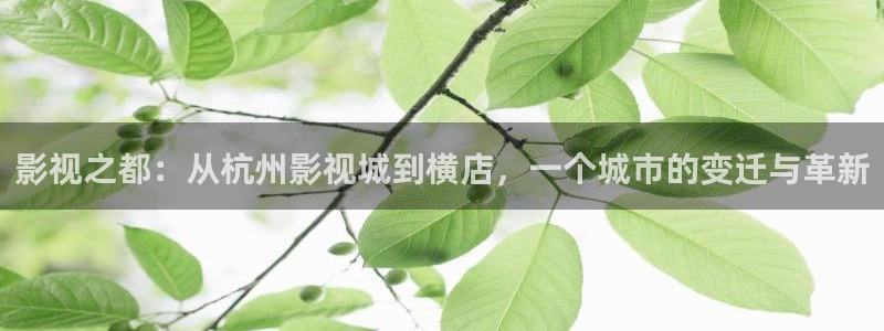 天龙高清影院官网：影视之都：从杭州影视城到横店，一个城市的变迁与革新