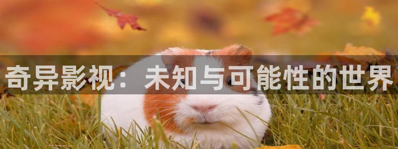 倚天屠龙记吴启华版天龙影院：奇异影视：未知与可能性的世界