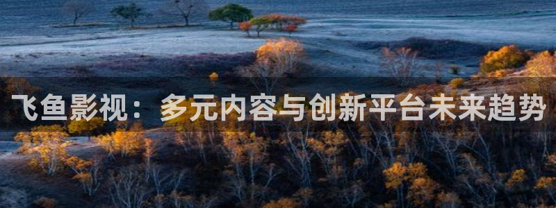 天龙影视播放器：飞鱼影视：多元内容与创新平台未来趋势